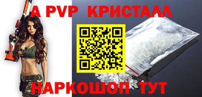 СК Моздок