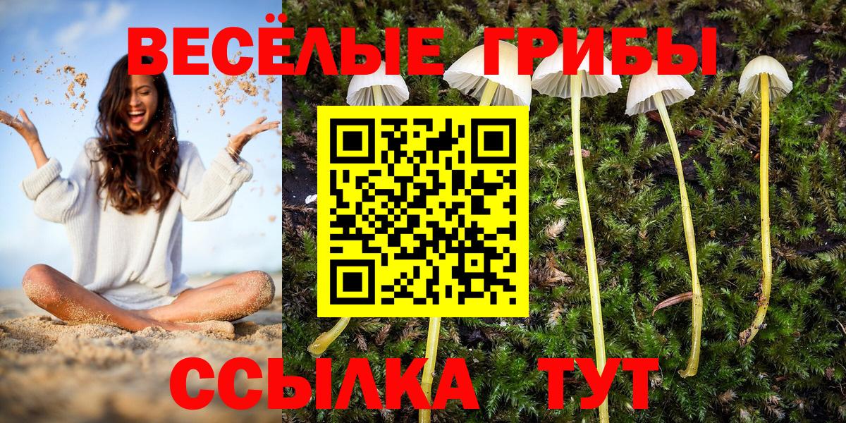 Галлюциногенные грибы MAGIC MUSHROOMS  как найти наркотики  Галлюциногенные грибы Psilocybe  Добрянка  Вход с VPN 
