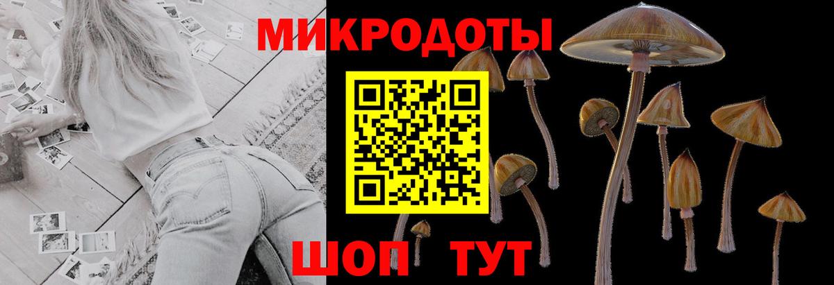 Псилоцибиновые грибы MAGIC MUSHROOMS Добрянка